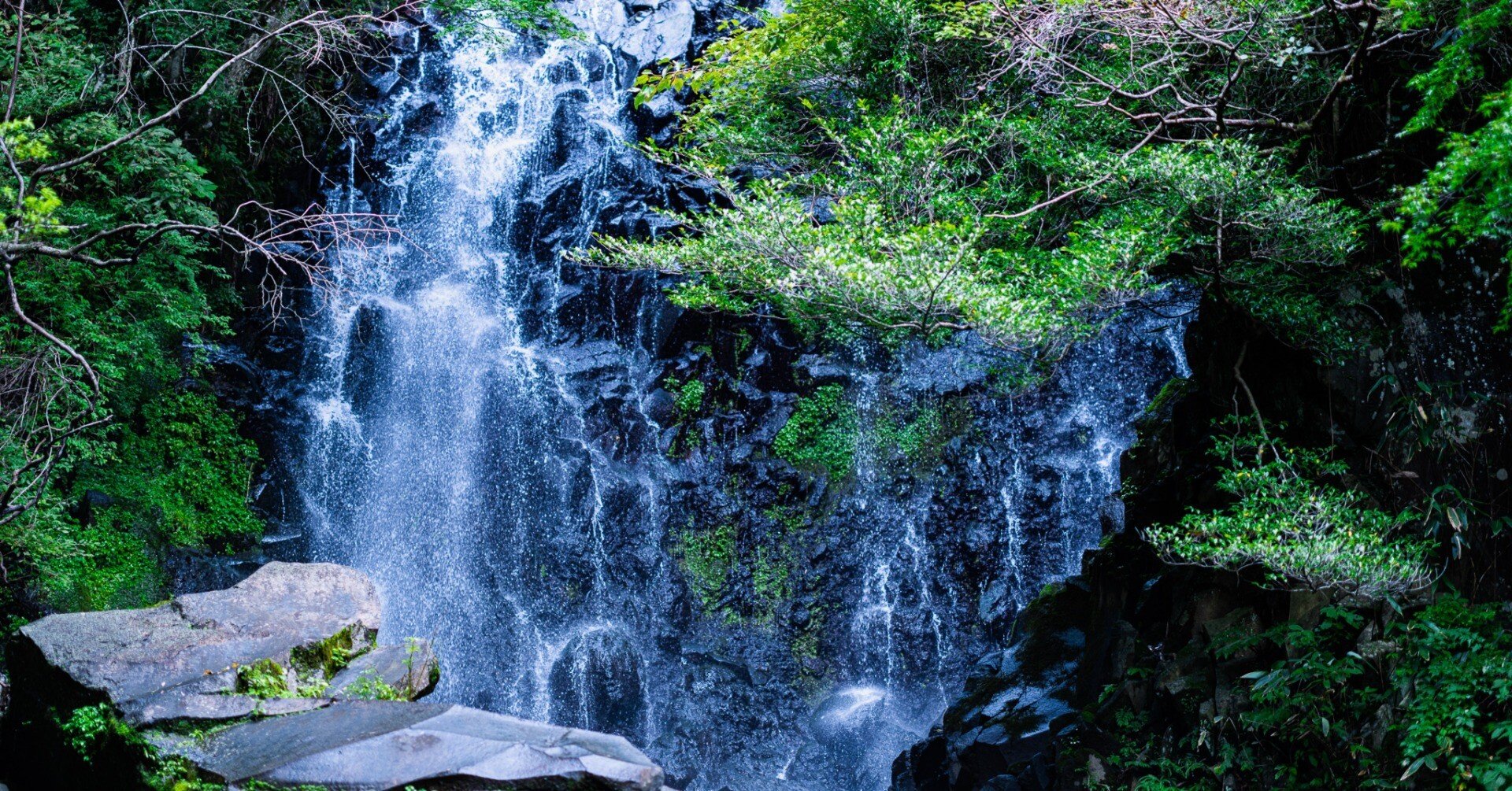 難易度4 山の中で蟹に出会う飛龍の滝 前編 こだまのあそびば Note