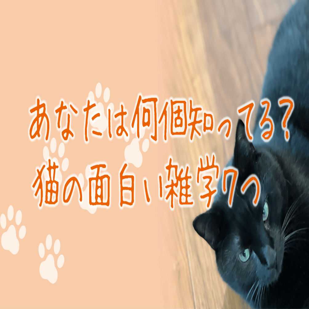 あなたは何個知ってる 猫の面白い雑学７つ 愛猫のための専門家 タケ Note
