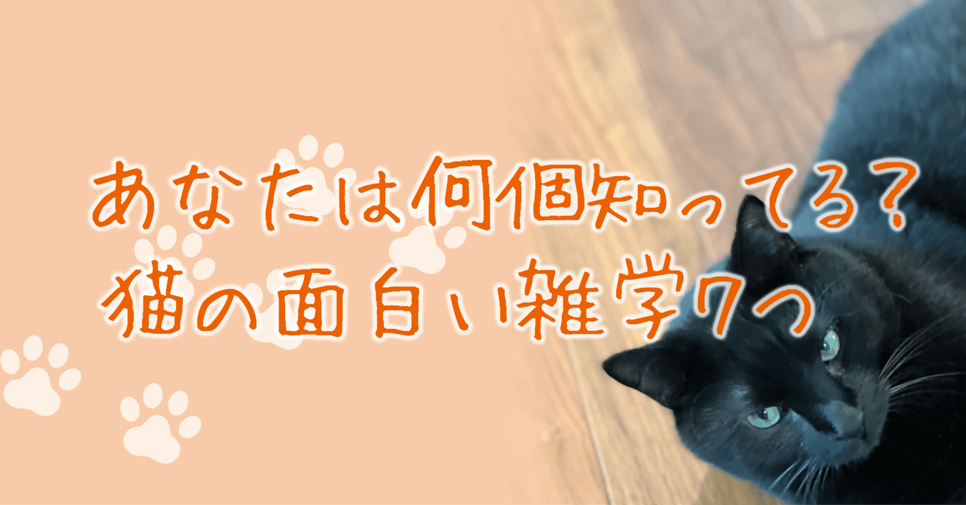 あなたは何個知ってる 猫の面白い雑学7つ 愛猫のための専門家 タケ Note あなたは何個知ってる 猫の面白い雑学7つ 愛猫のための専門家 タケ Note