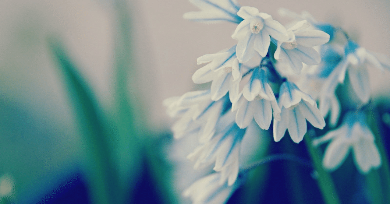 ステキな笑顔でお別れの挨拶 Cukai Note ステキな笑顔でお別れの挨拶 Cukai Note