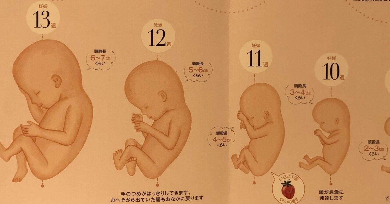 11w4d】妊婦健診の日のこころ｜愛, image size:1280x670