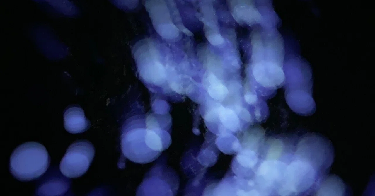 底|sleep|note