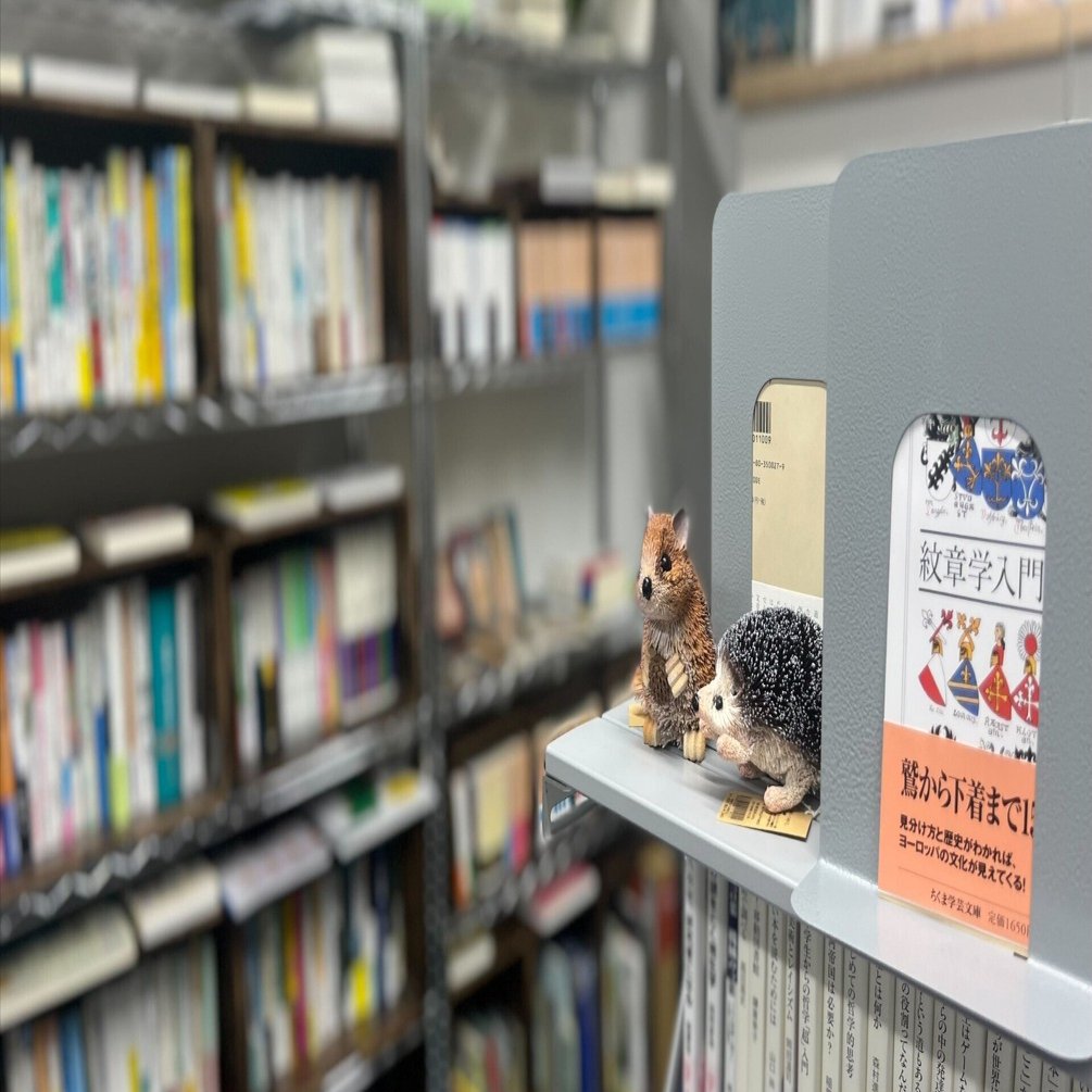積読を買いに 本屋さん探訪vol 3 ハリ書房 Setoka Natsumi Note