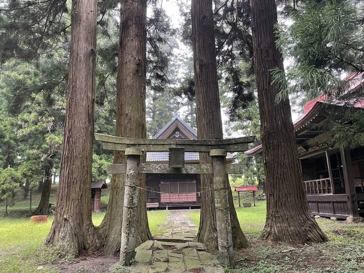画像