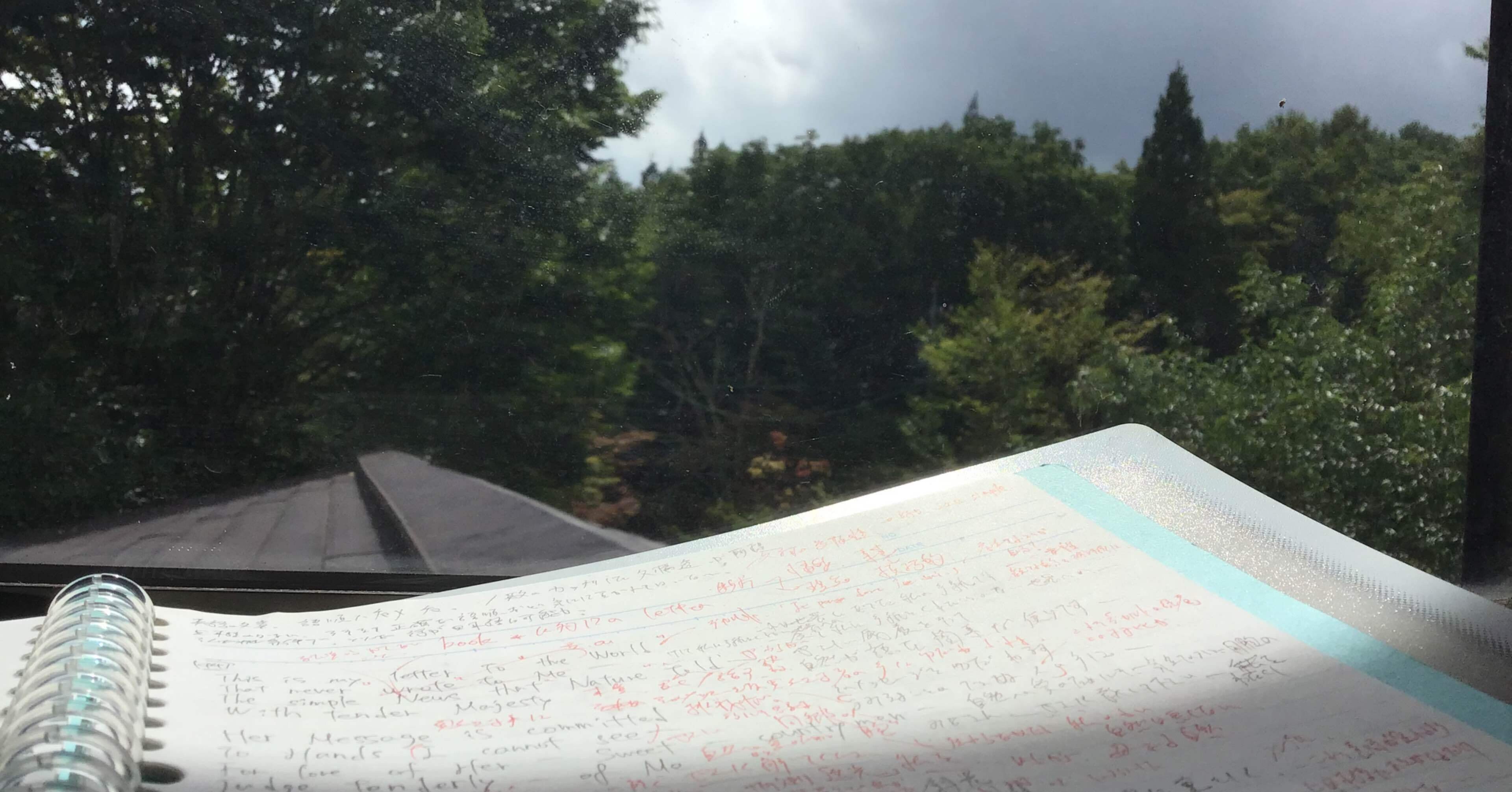 This is my letter to the world——僕の手紙ではない、これは僕たちの