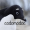 codomodoc_008