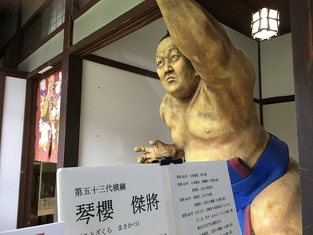 画像4