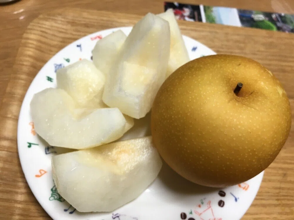 画像14
