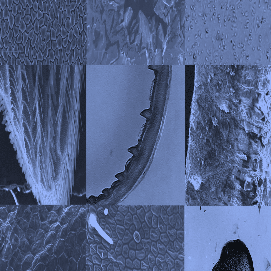 ❤高性能＆最新最先端型❣研究室さながらの本格的な観察を♪❤デジタル