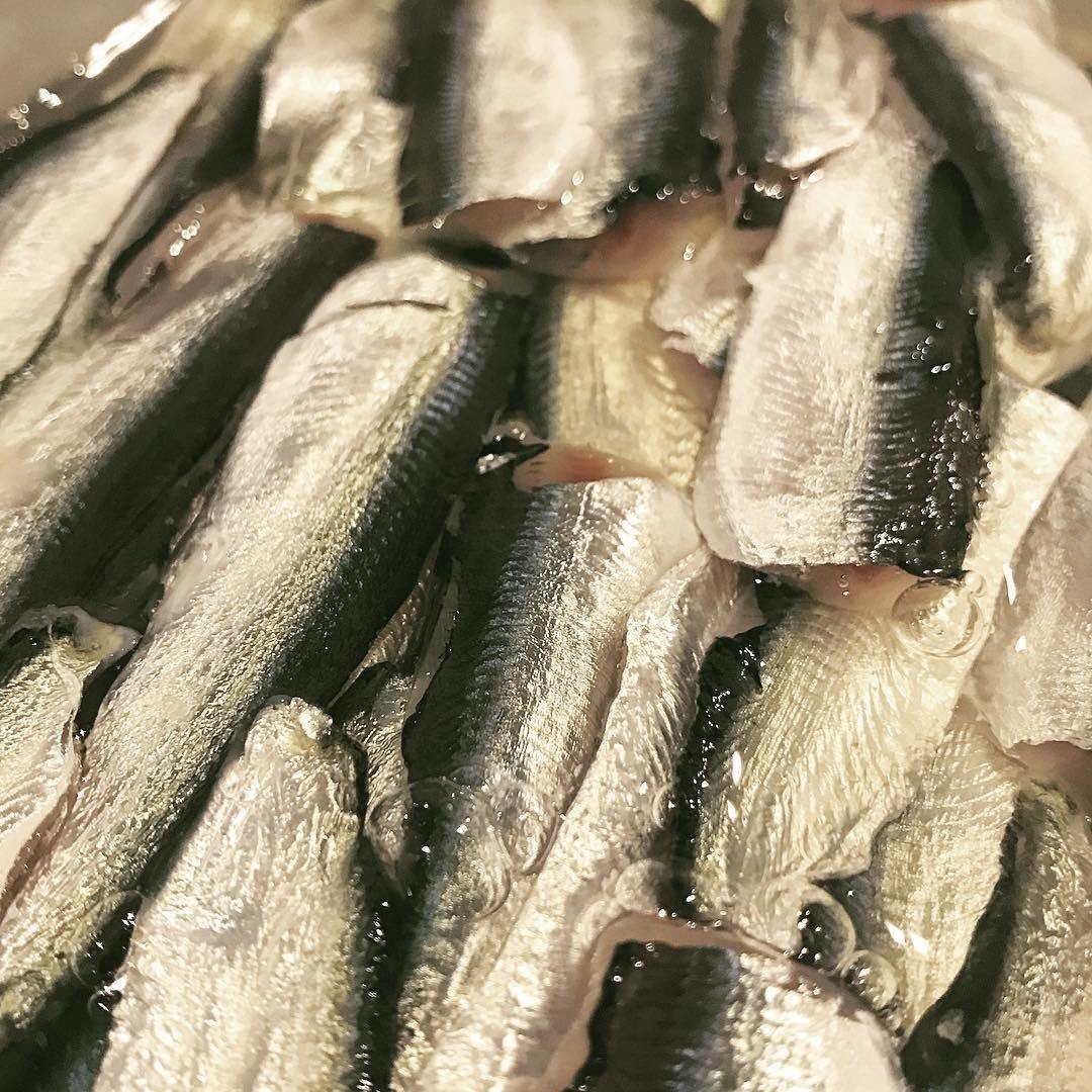 釣りをしていて考えたこと10 佐藤秀峰 Note