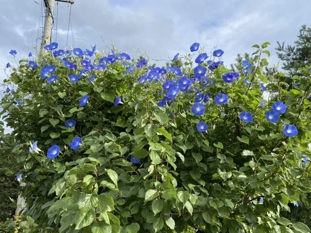 画像13