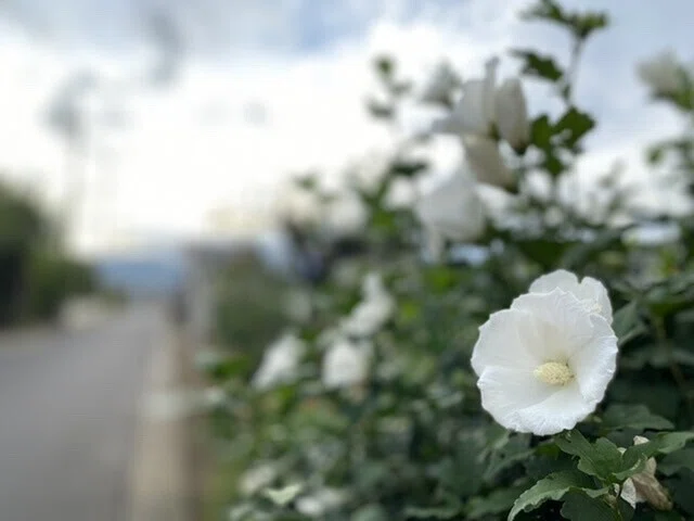 画像14