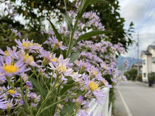 画像16