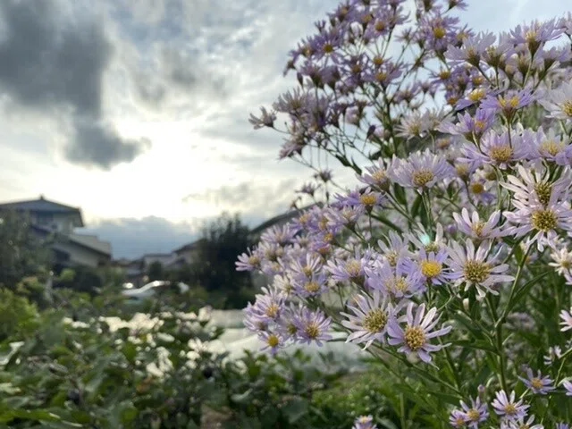 画像18