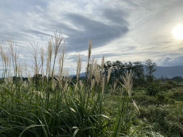 画像19
