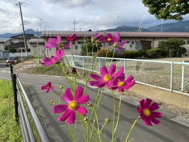 画像21