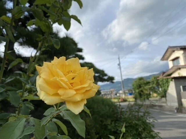 画像24