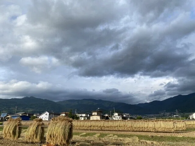 画像26
