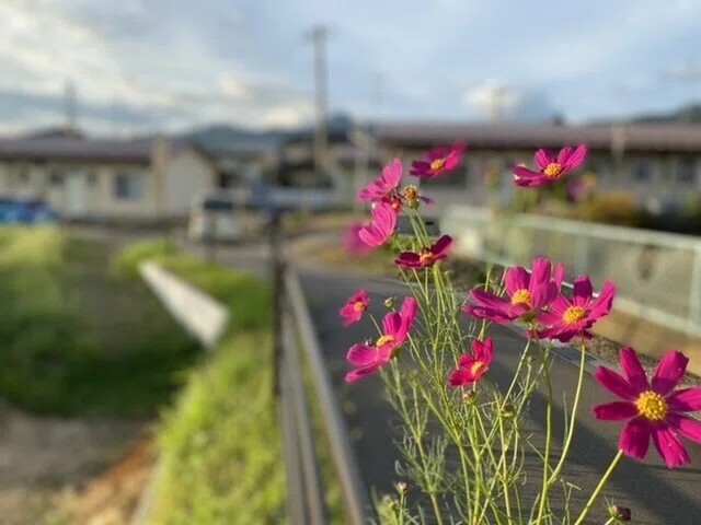 画像27