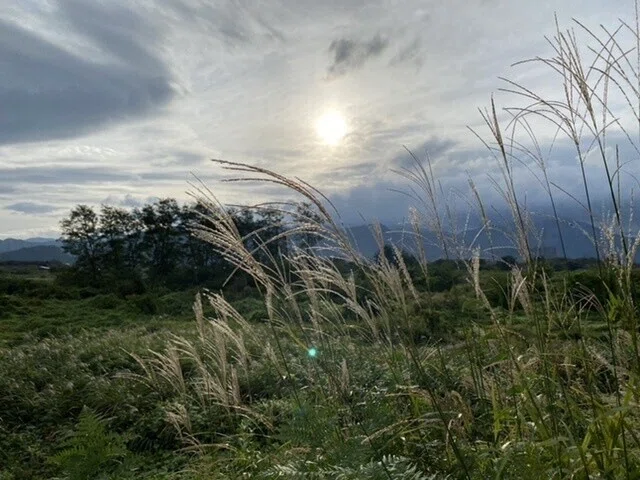 画像31