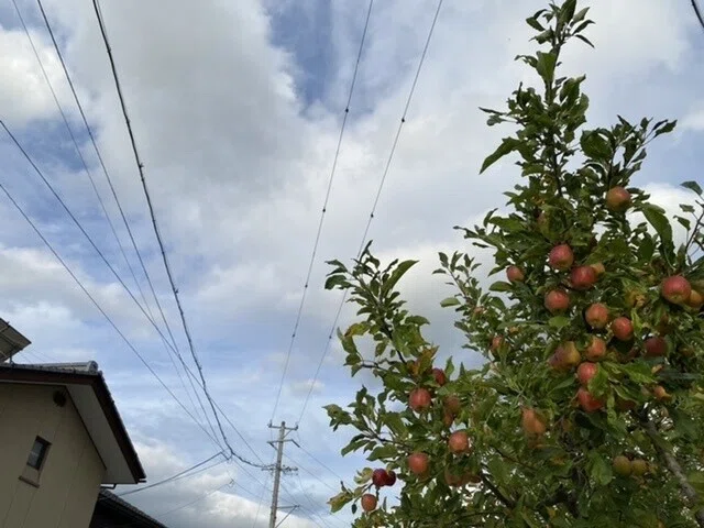 画像32