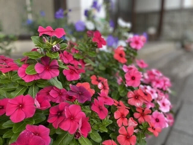 画像34
