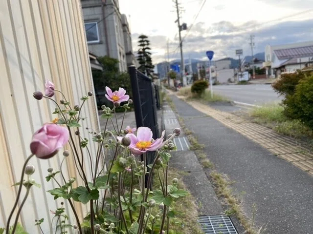 画像36