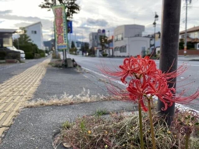画像37