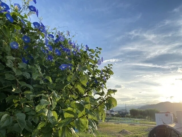画像38