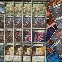 CS優勝!新型アナカラーサガループ|HERO DMP CS優勝!新型アナカラーサガループ|HERO DMP