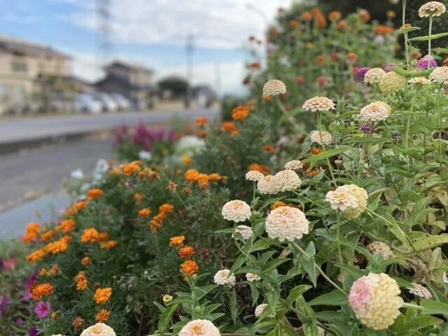画像49