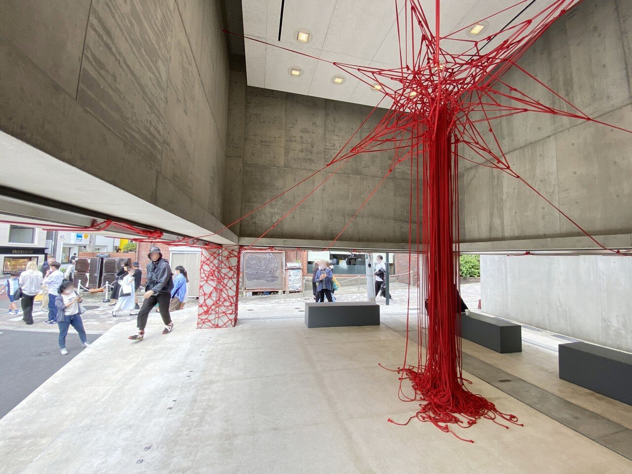 Hajime Kinoko x Standby｜kumagaimasato