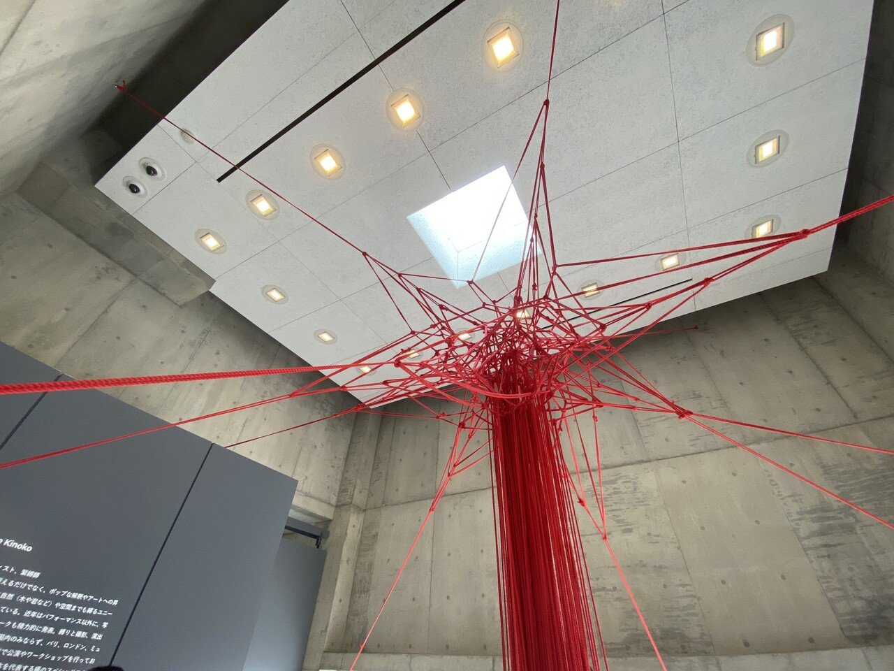 Hajime Kinoko x Standby｜kumagaimasato