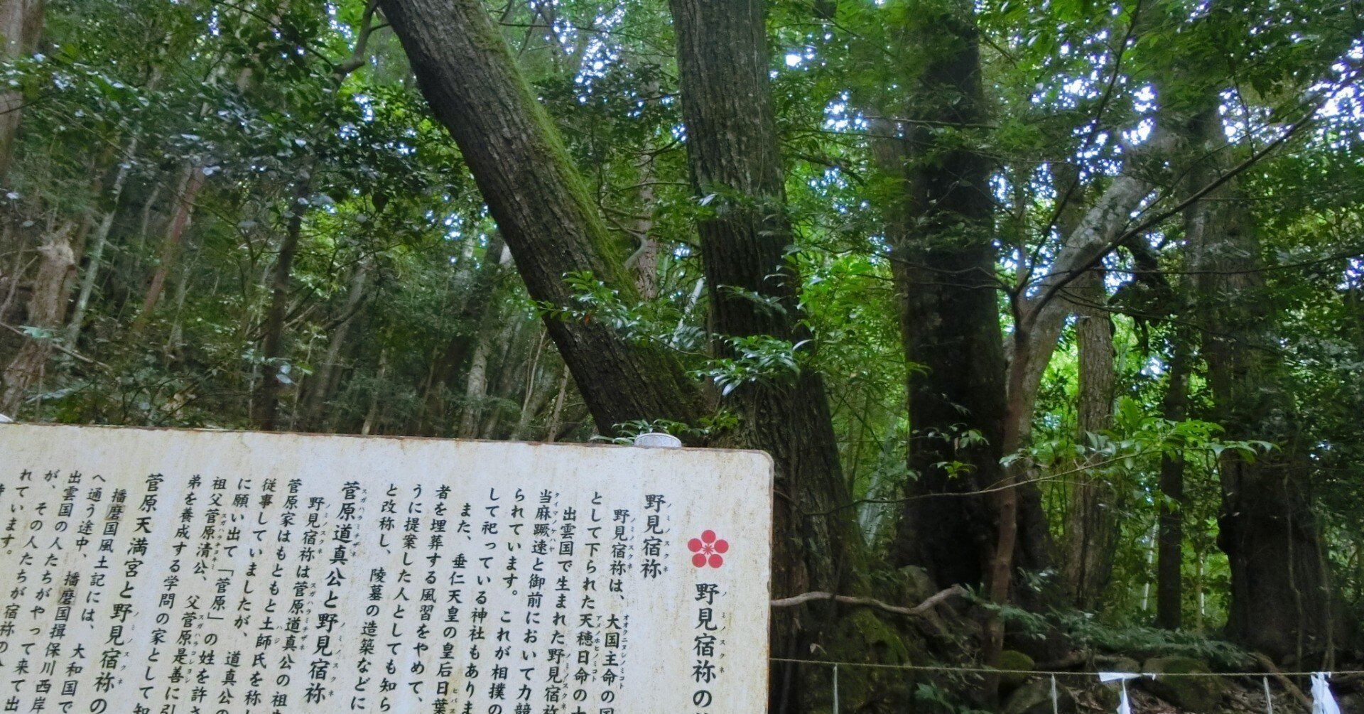 285d4f7efb0678f267262c93a92f43