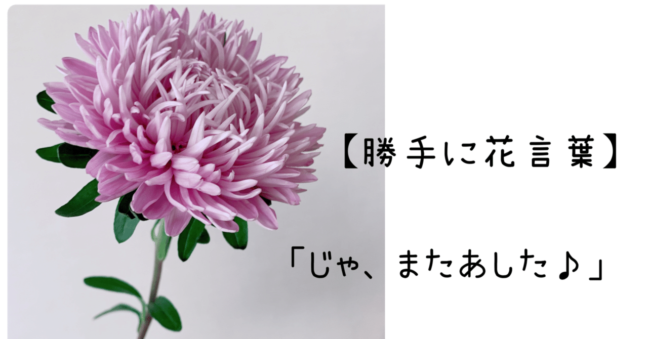 勝手に花言葉 アスター 三毛亭穂翠 Note 勝手に花言葉 アスター 三毛亭穂翠 Note