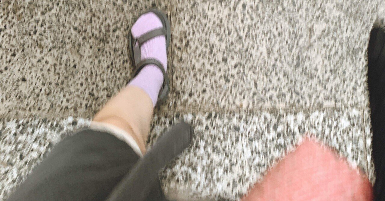 ハリネズミにキャットフードを与えることの長所と短所