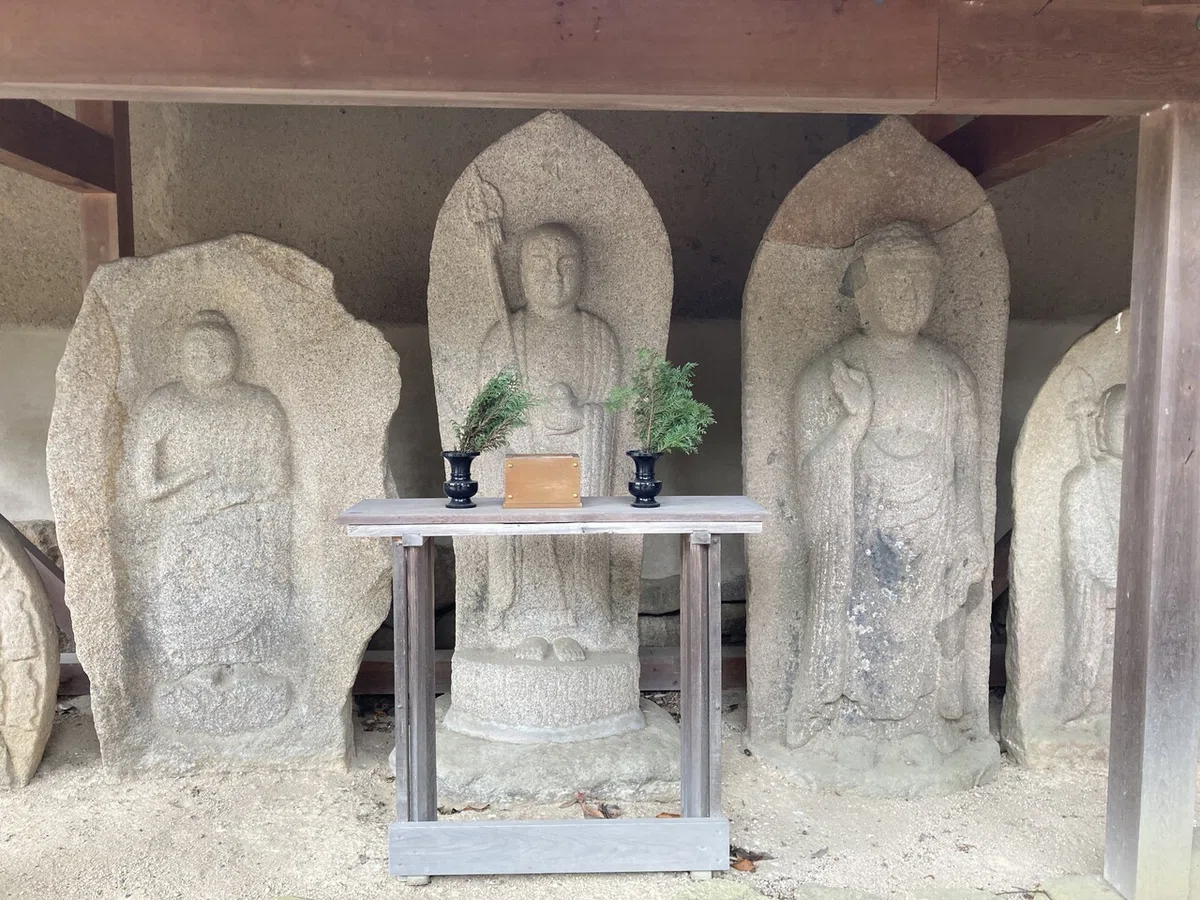 画像4