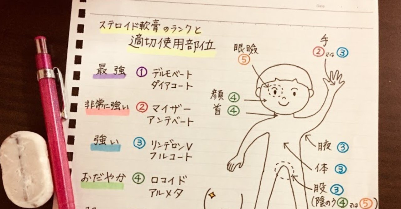 ステロイド軟膏の強さと適切な使用部位 おかちん 皮膚病 漢方 Note