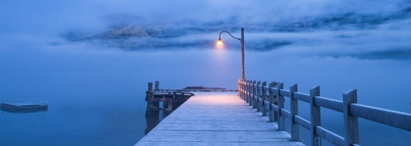 TMの本　アメリカからやってきた超越瞑想 TMの本 アメリカからやってきた超越瞑想