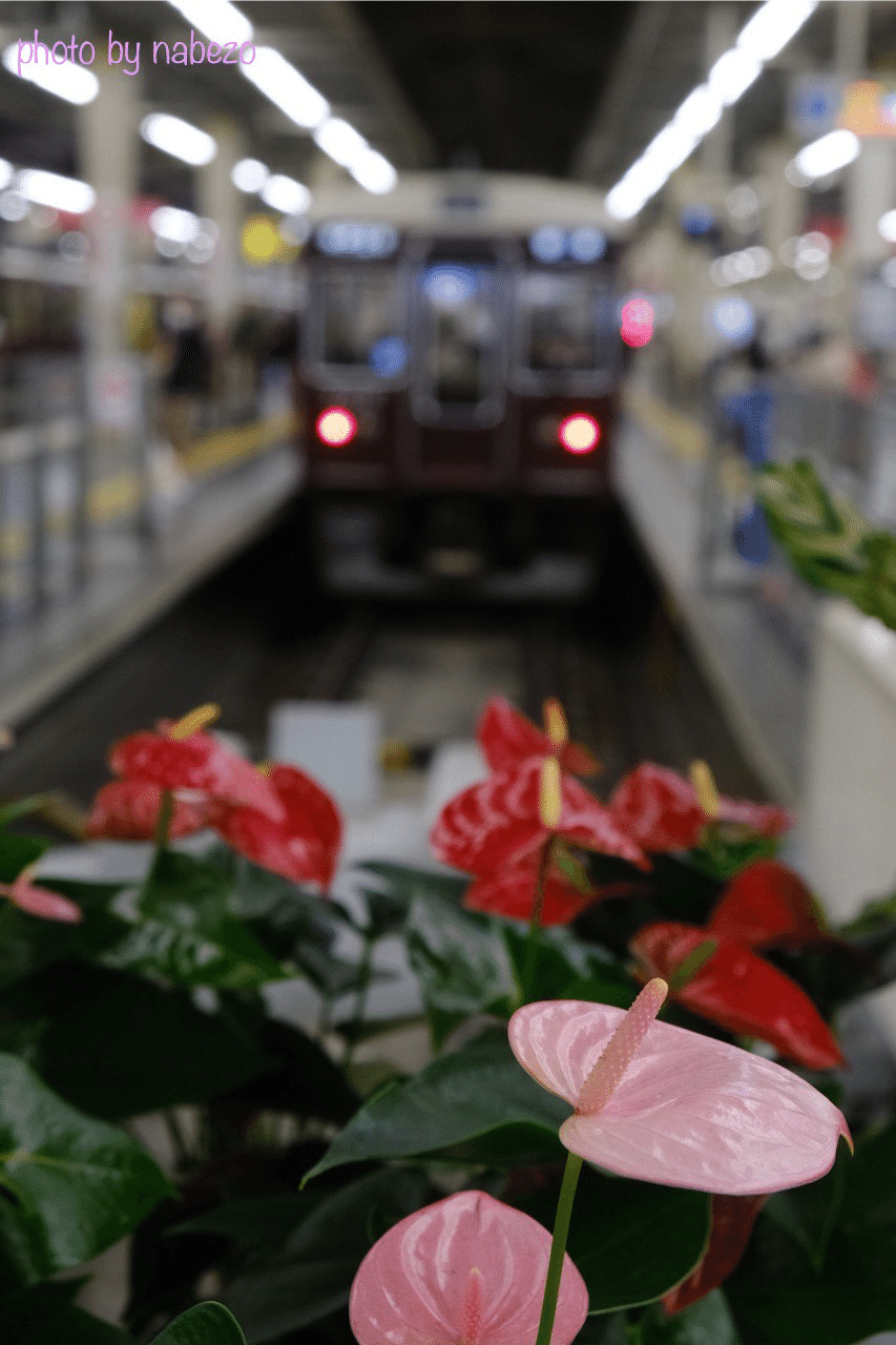 X-E4購入！この時期に敢えて第4世代へ｜会場カメラマン・ナベゾー