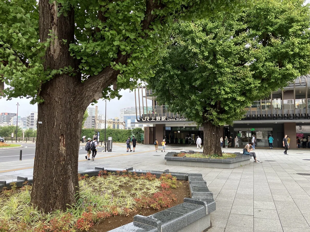 画像7