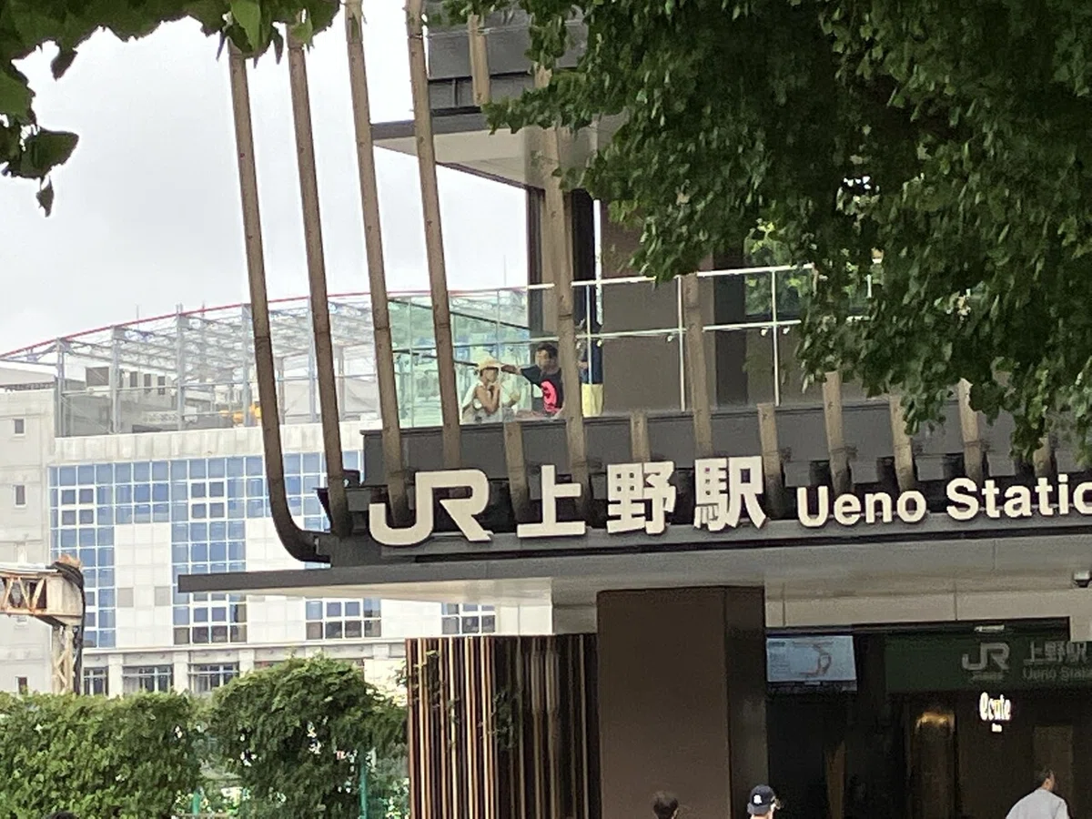 画像8