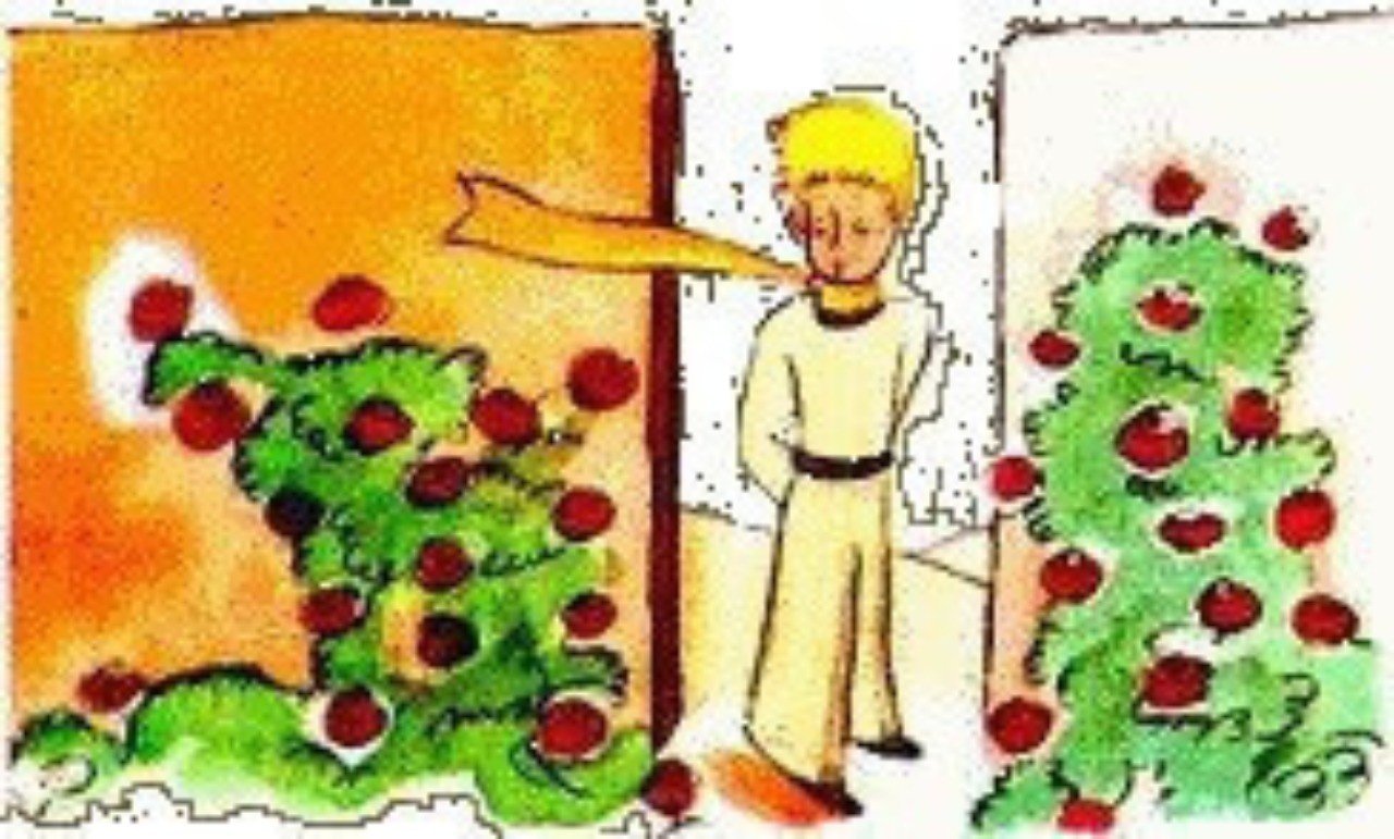 王子様の薔薇になる方法 ミカリュス Note