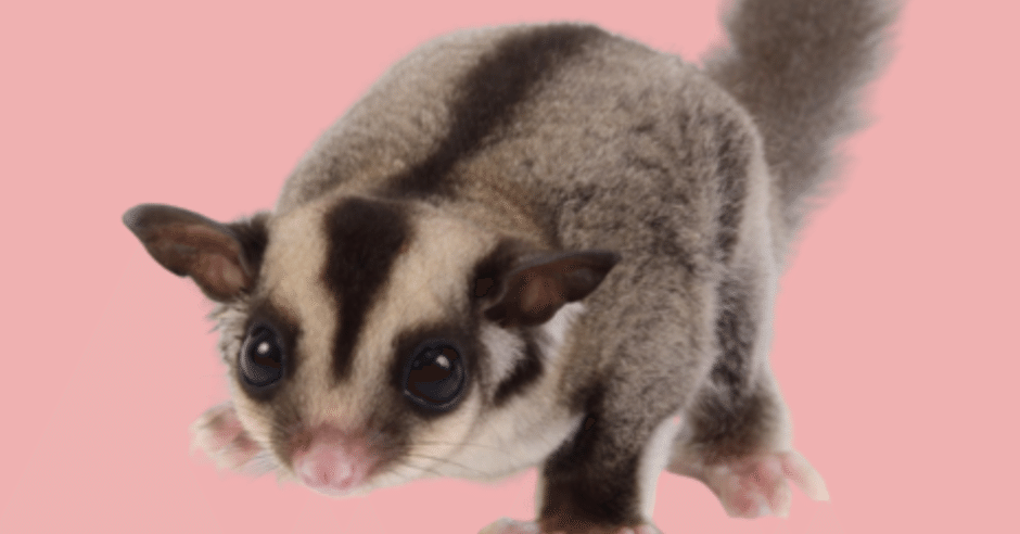 1b78700e01f894f477980a403a262c