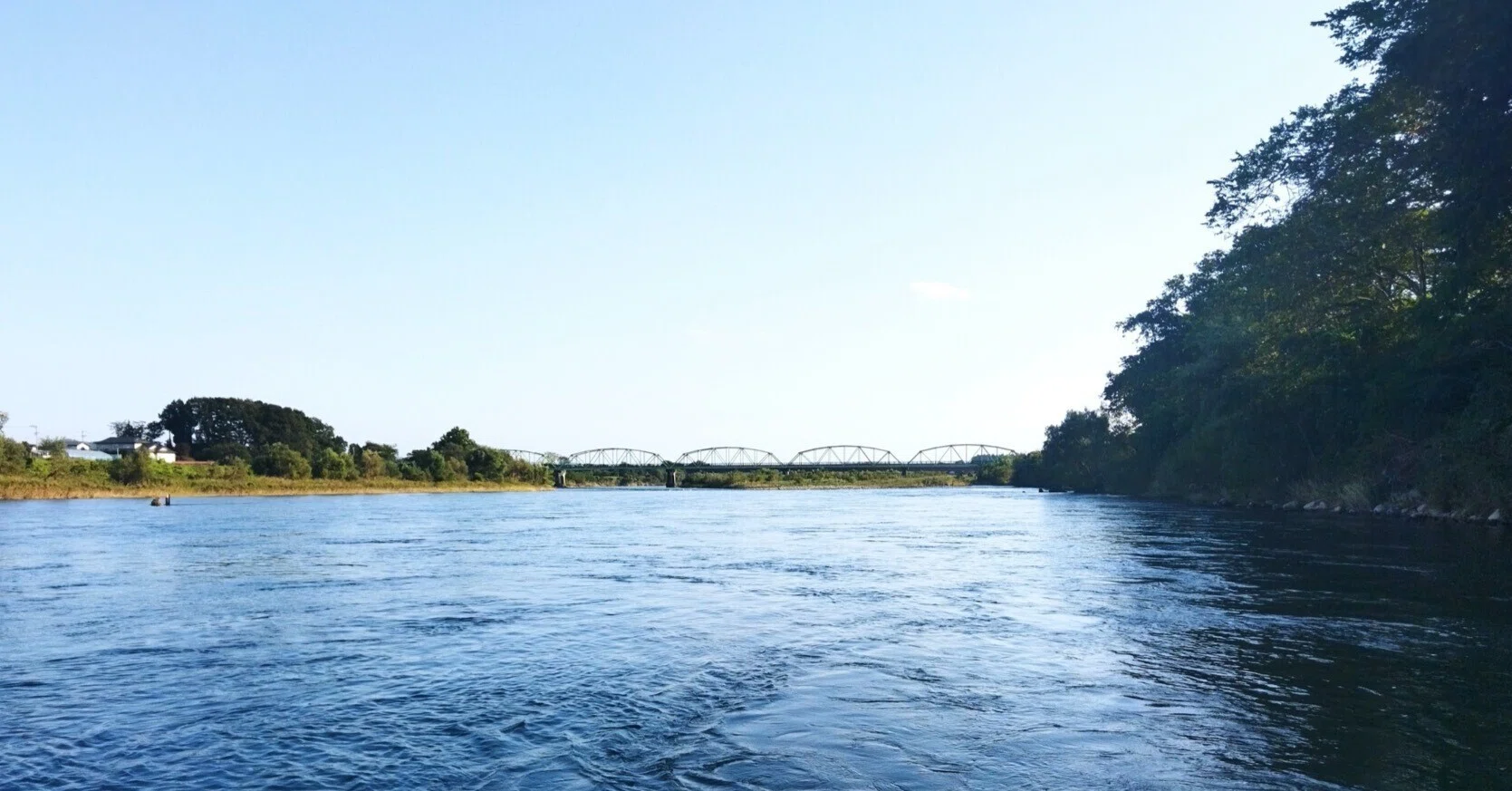 光の交錯の場 宮沢賢治の「イギリス海岸」｜岡田基生