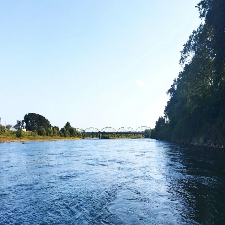 光の交錯の場 宮沢賢治の「イギリス海岸」｜岡田基生