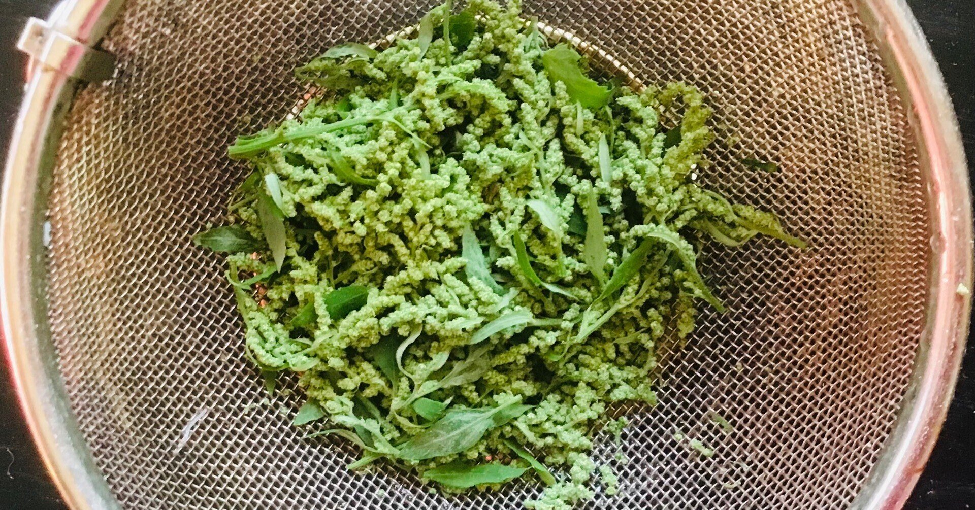 雑草あそび アカザの実lab ふたたび シロふくろうmaki Note 雑草あそび アカザの実lab ふたたび シロふくろうmaki Note
