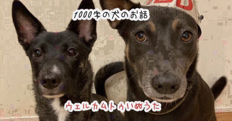 メリーゴーラウンド の新着タグ記事一覧 Note つくる つながる とどける