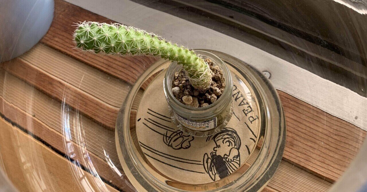 サボテン 手仕事日本 Note Ver Note サボテン 手仕事日本 Note Ver Note