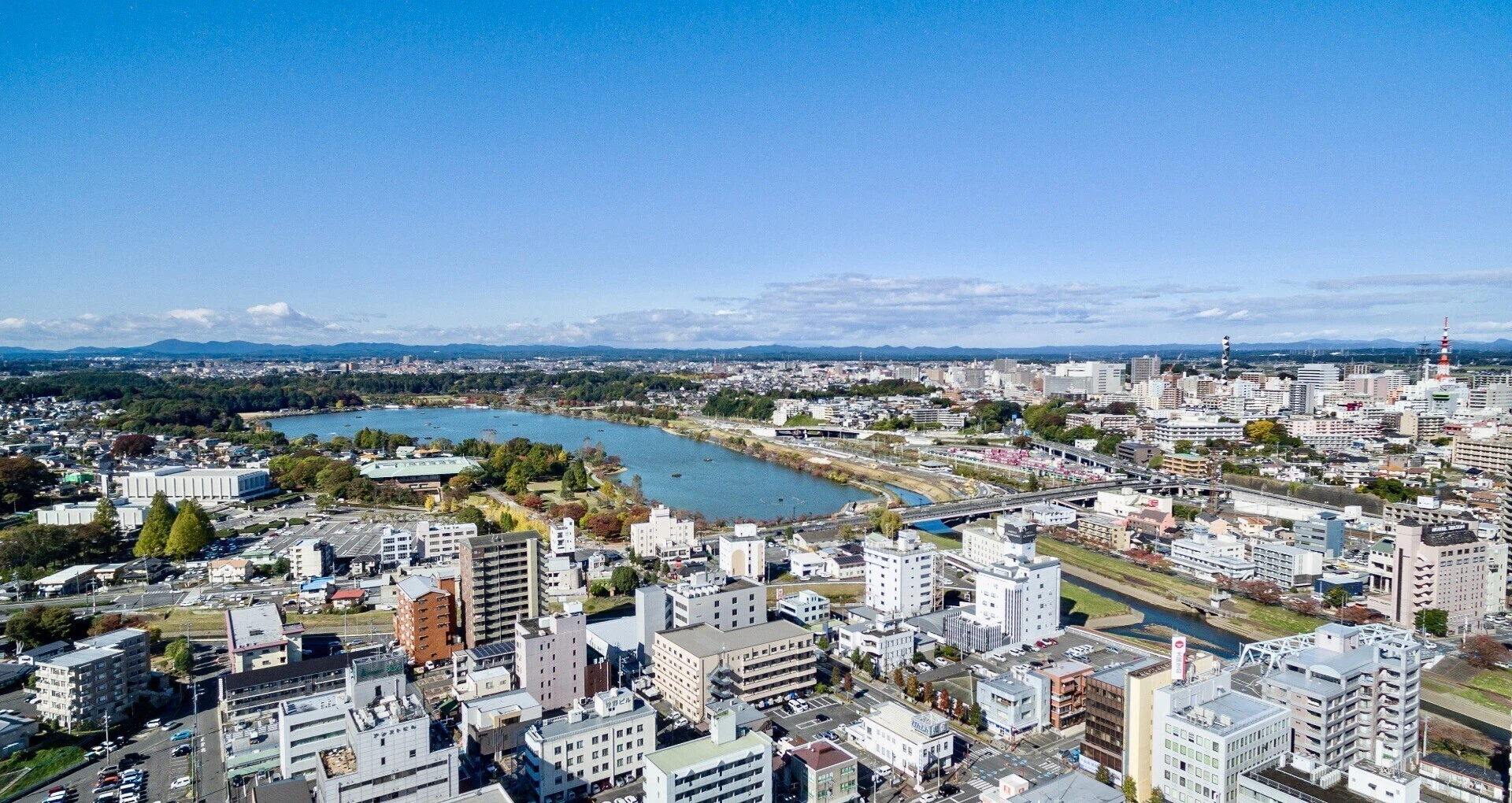 公の場での発言・インタビュー報道記録